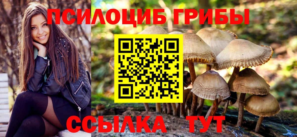 Псилоцибиновые грибы Magic Shrooms  цены   Фролово  Вход с VPN 